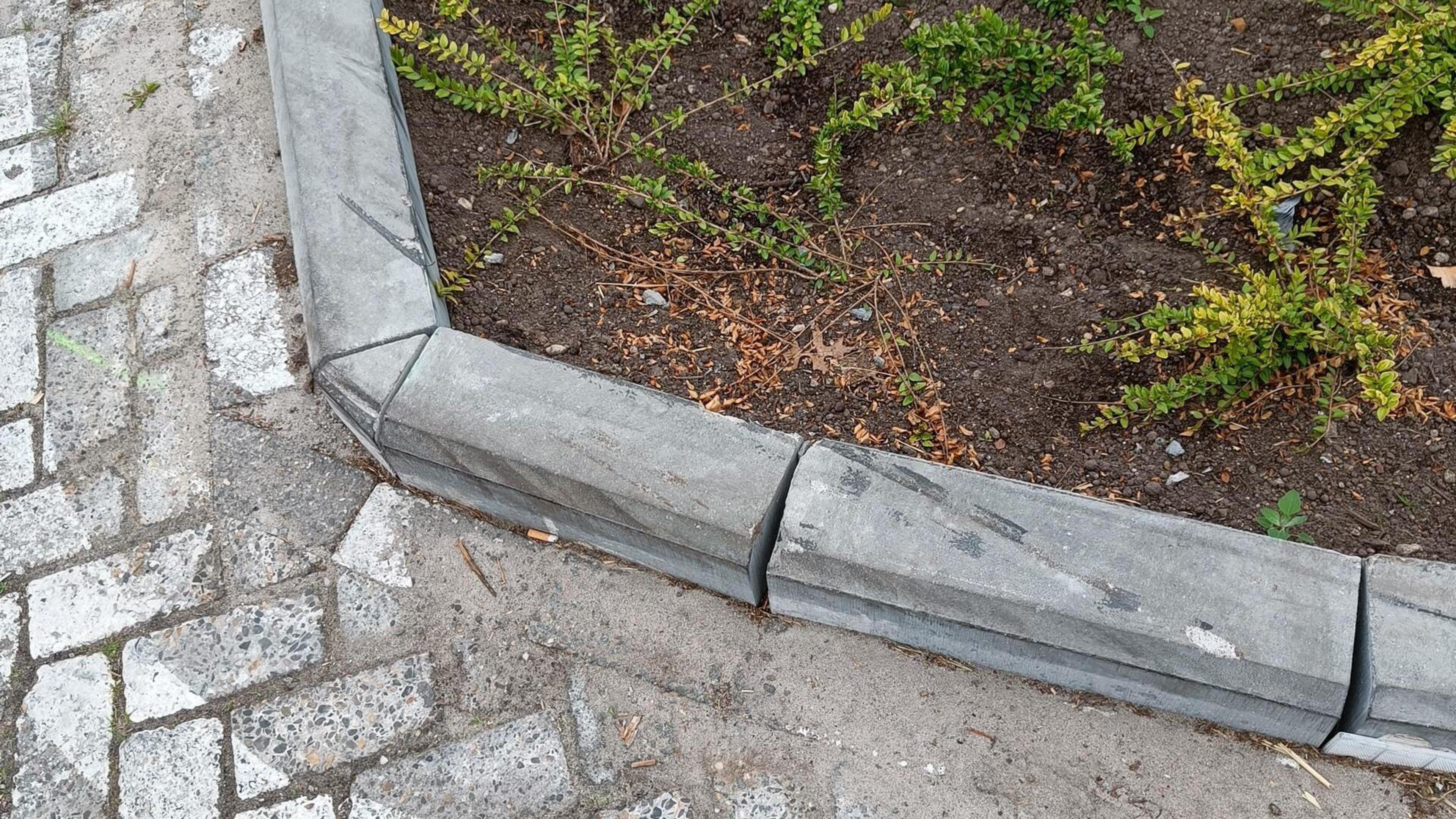 Deurne roept bewoners op om plantvak te adopteren